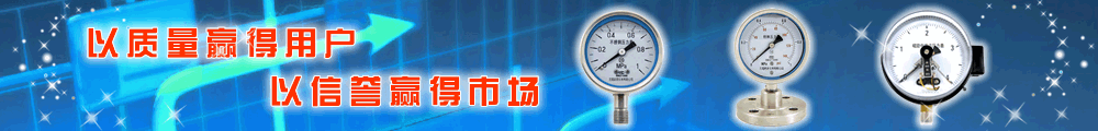 耐震壓力表